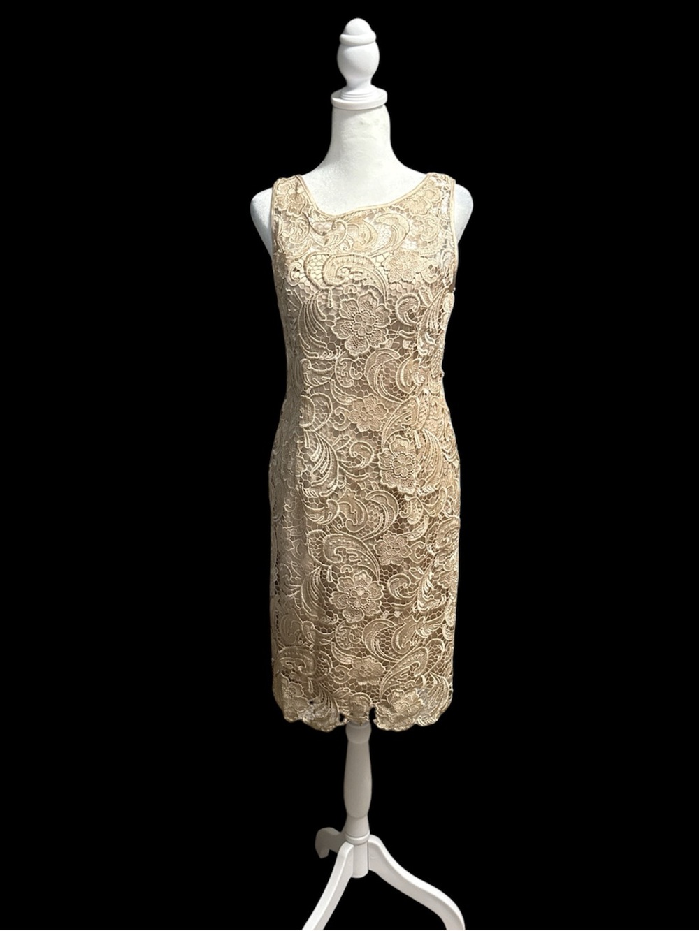 Adrianna Papell Beige Lace lined Sheath Dress-4